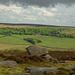 Longshaw estate