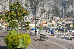 Limone. An der Uferpromenade. ©UdoSm