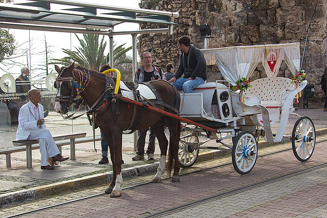 20140306 0585VRAw [TR] Pferdekutsche, Antalya, Türkei