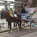 20140306 0585VRAw [TR] Pferdekutsche, Antalya, Türkei