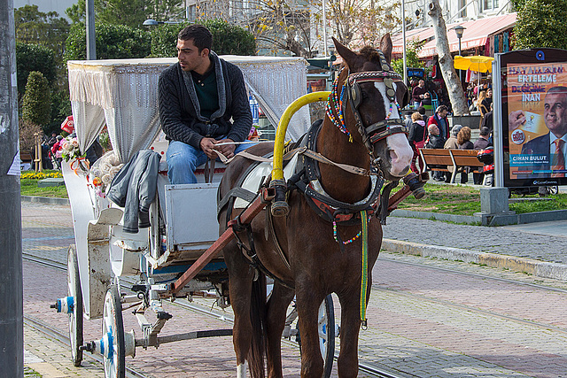20140306 0584VRAw [TR] Pferdekutsche, Antalya, Türkei