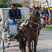 20140306 0584VRAw [TR] Pferdekutsche, Antalya, Türkei