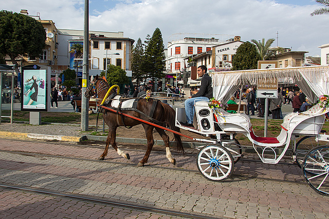 20140306 0583VRAw [TR] Pferdekutsche, Antalya, Türkei