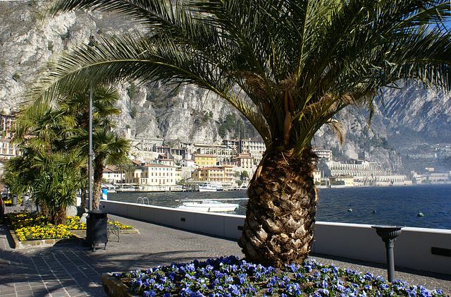 Limone. Uferpromenade.  ©UdoSm