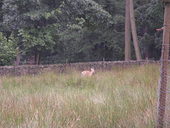 IMGP2508