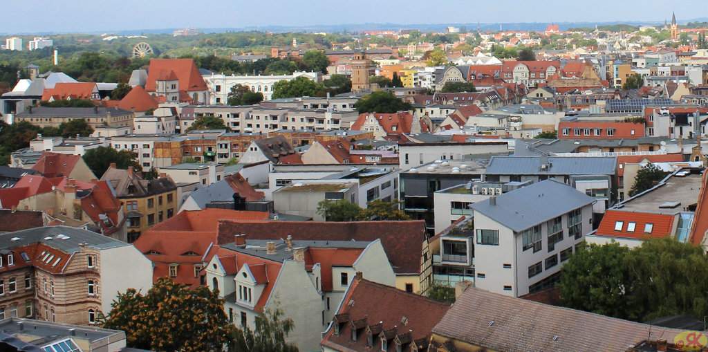 2014-08-31 37 Halle