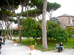 Giardino degli Aranci