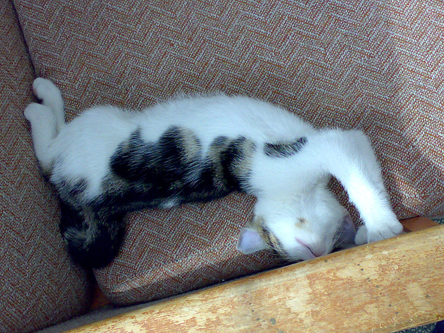 14062008680