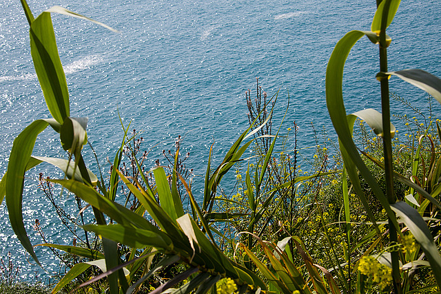 20140306 0559VRAw [TR] Antalya-