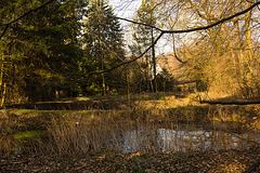 20140312 0860VRAw [D~HF] Linnebeeke, Teich, Vlotho-Valdorf (Steinbründorf)