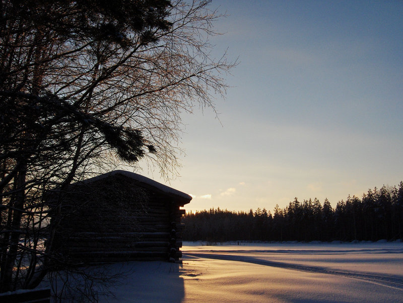 Winter light