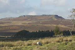 IMGP7130
