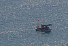 20140306 0551VRAw [TR] Antalya, Boot