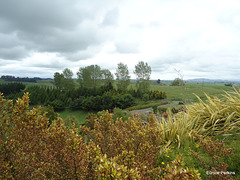 View over countryside