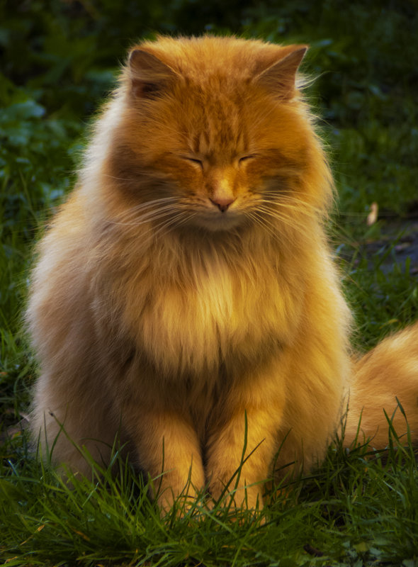 Amour, ...je ne sais rien...