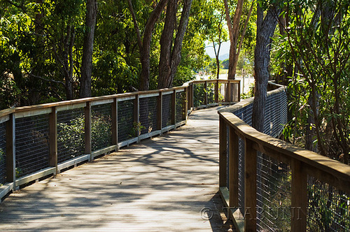 Walkway to the Water