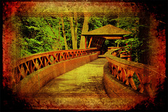 Wooden Bridge 1