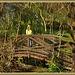 A Girl on A Footbridge