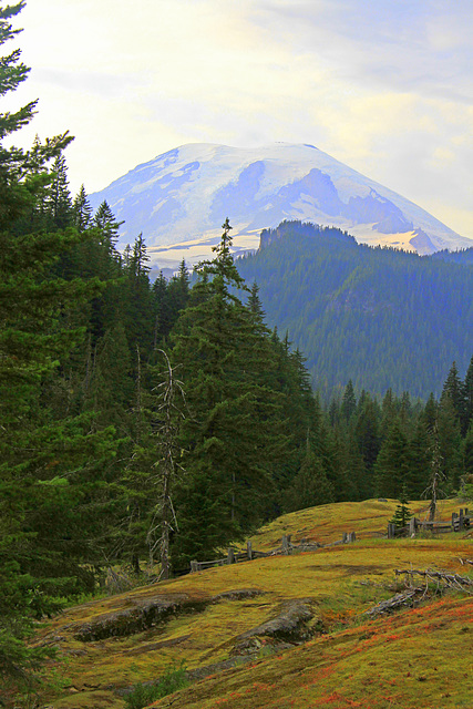 Mount Rainier from Box Canyon