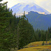 Mount Rainier from Box Canyon