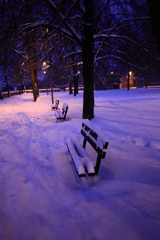 Blue Evening