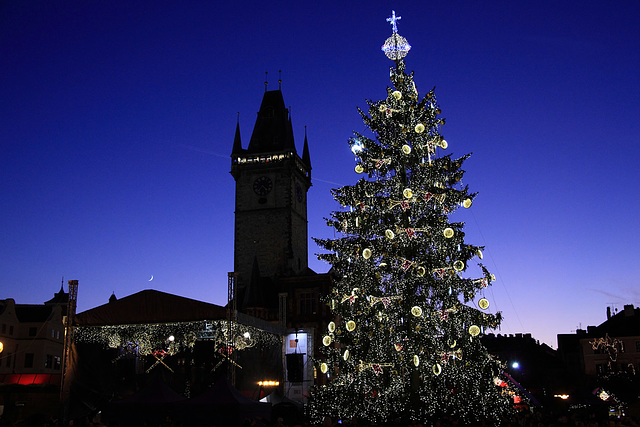 Christmas Tree Prague