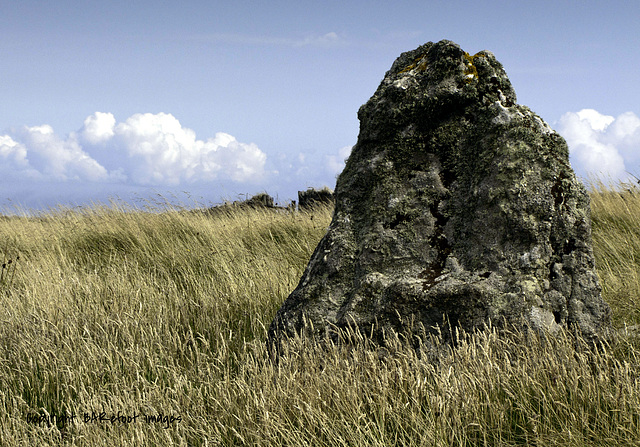 Standing Stone on Ackland's Moor