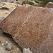 Petroglyph (121538)