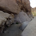 Petroglyph Canyon (115306)