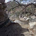 Petroglyph Canyon (115348)