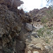 Petroglyph Canyon (115354)