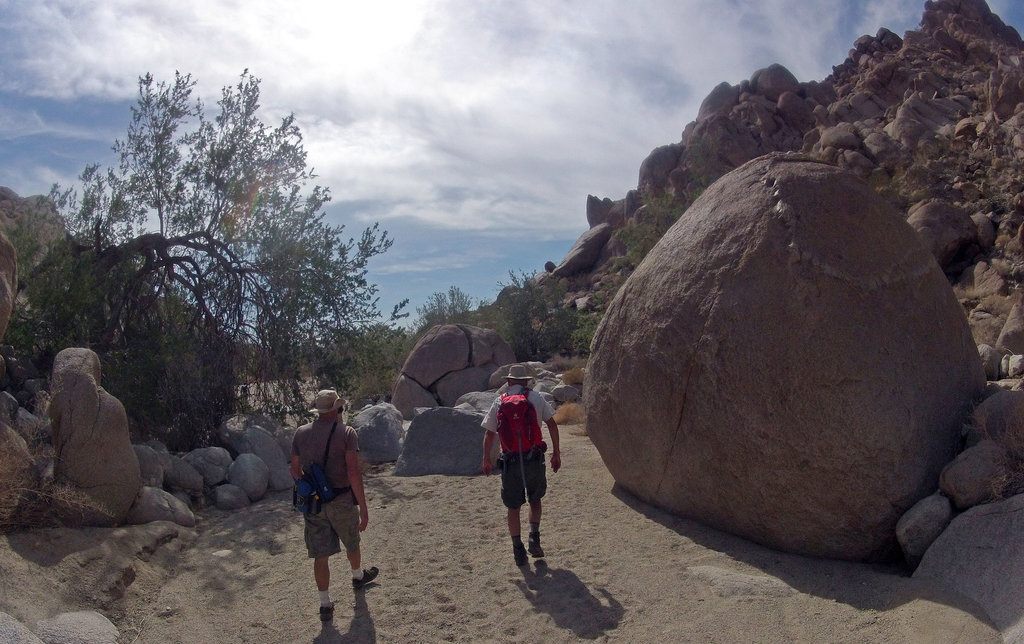Petroglyph Canyon (115430)