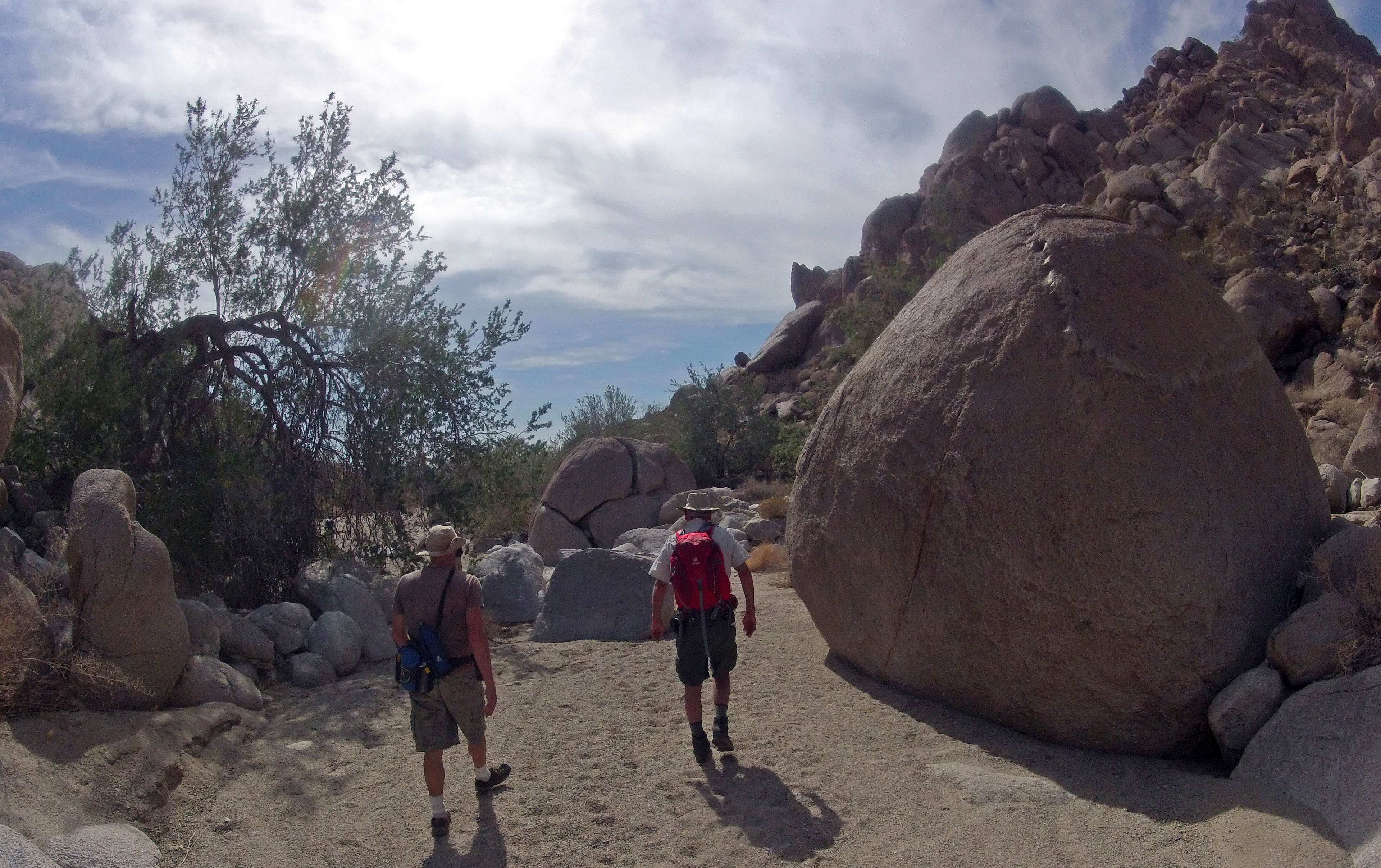 Petroglyph Canyon (115430)