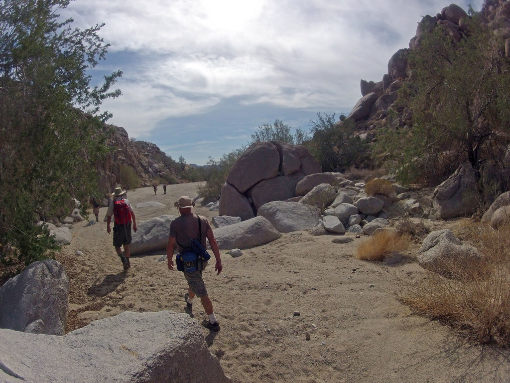 Petroglyph Canyon (115439)