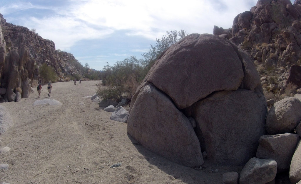 Petroglyph Canyon (115452)