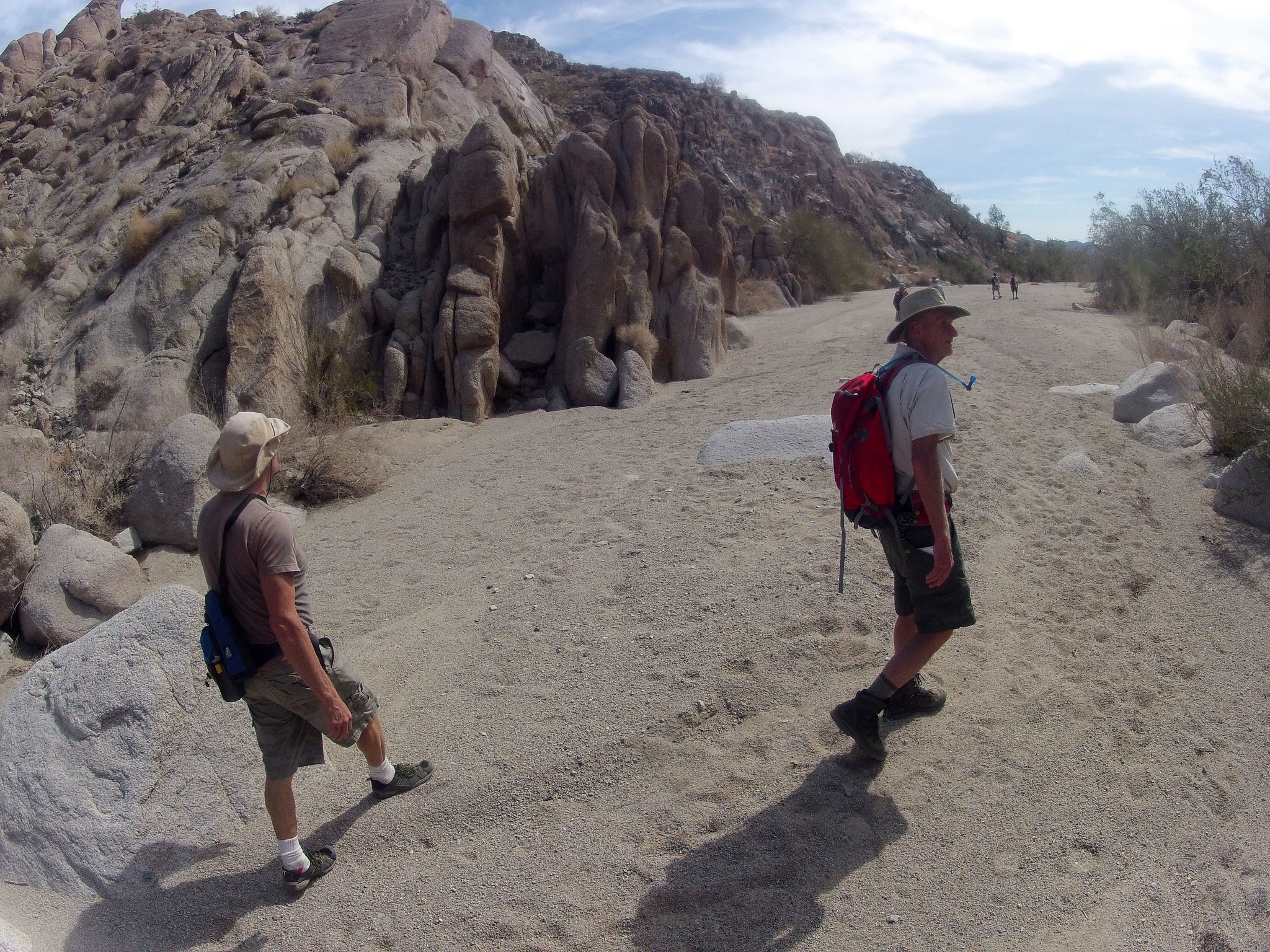 Petroglyph Canyon (115500)