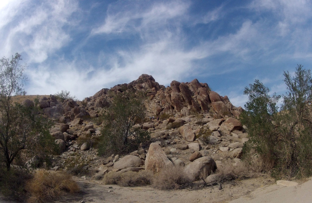 Petroglyph Canyon (115636)