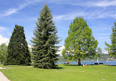 Park in Bodmann