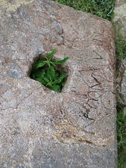 Théâtre de Stobi : inscription sur les gradins.