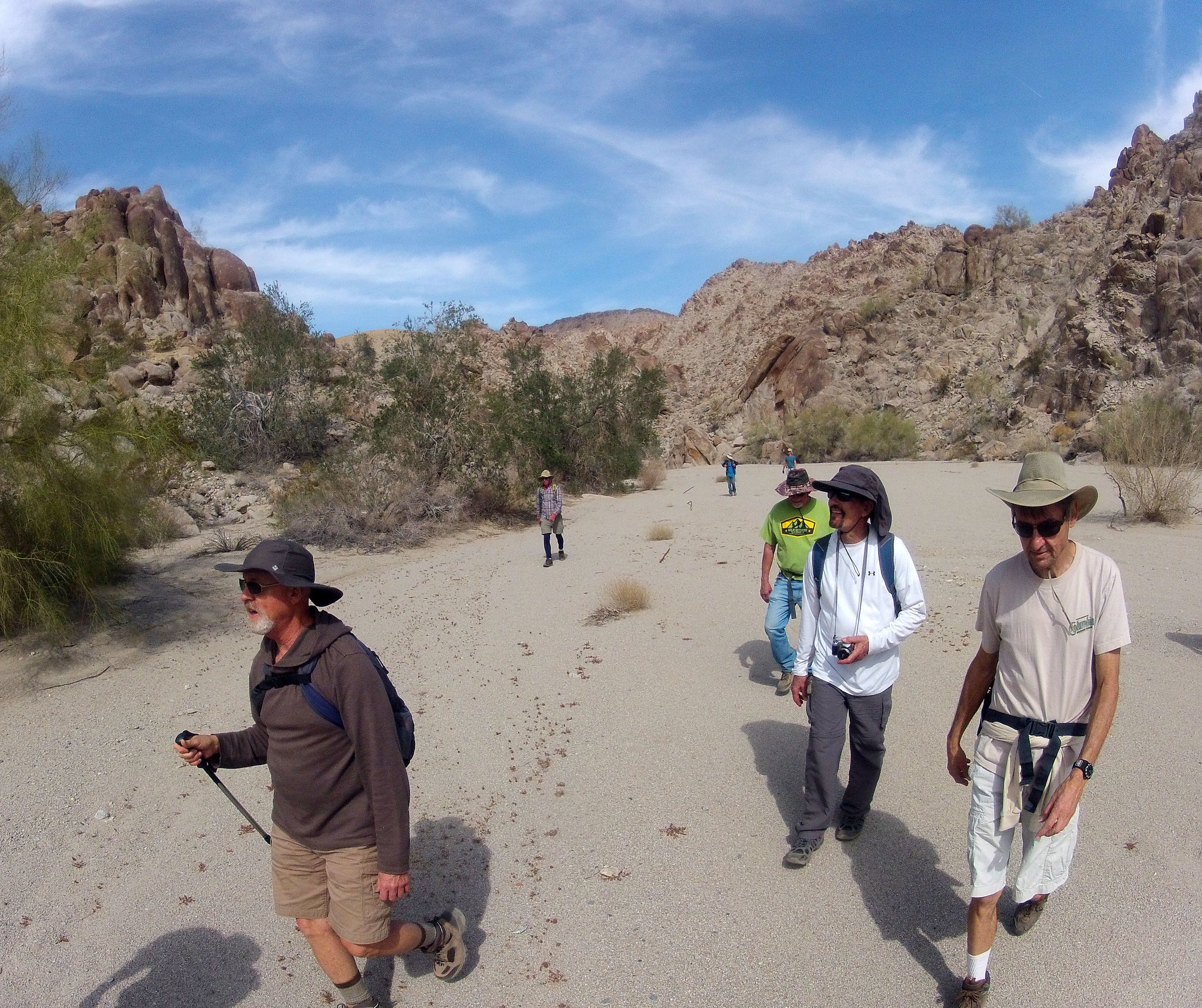 Petroglyph Canyon (115716)