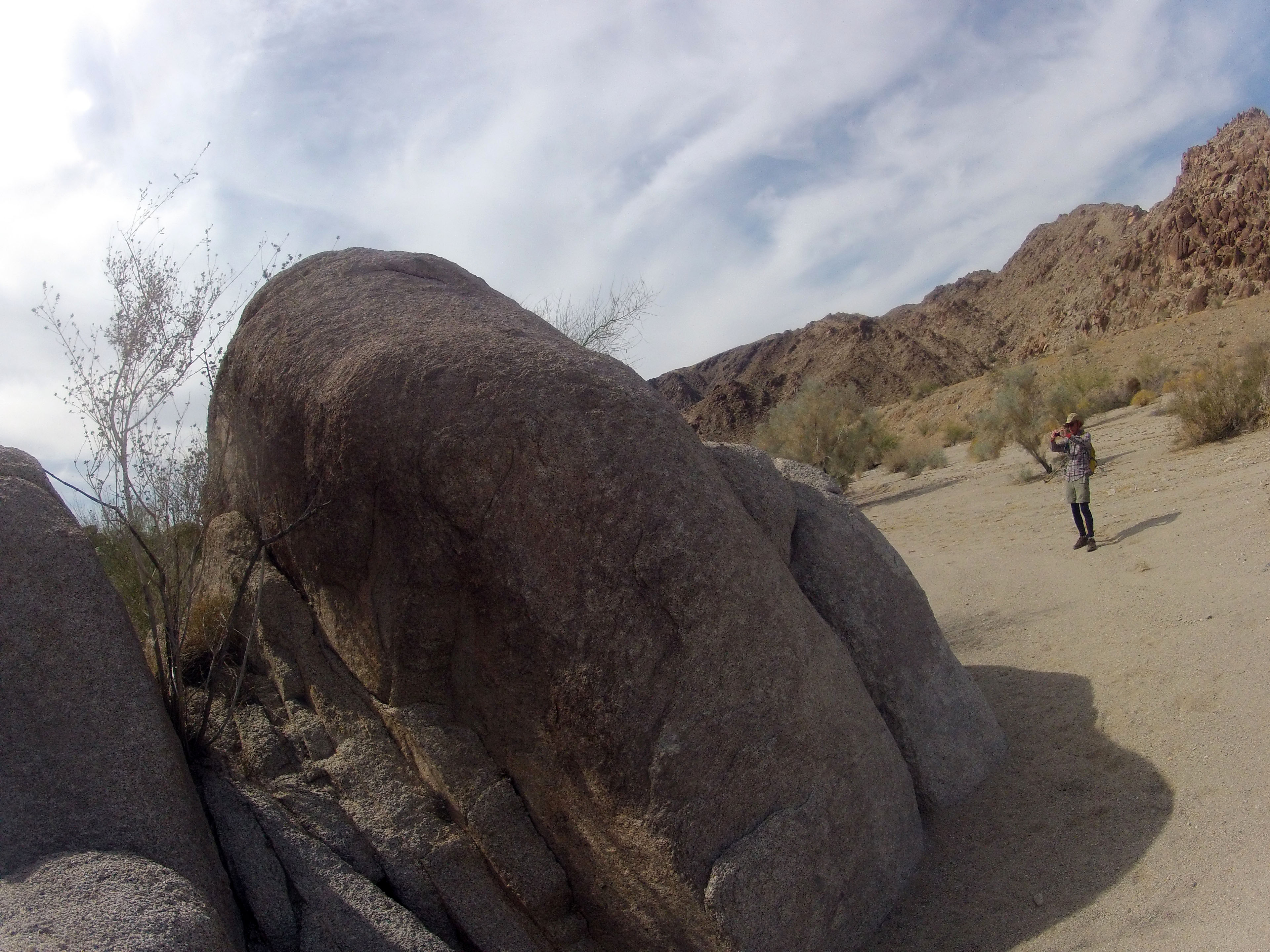 Petroglyph Canyon (122051)