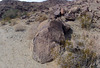 Petroglyphs (123707)