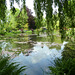 Monet's garden
