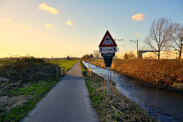 Watch out for slipping cars on the bicycle path