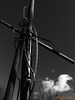 Bohnenstangen mit Wolke - bean poles with cloud - explored