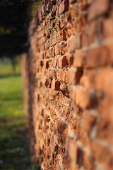 Brick Wall