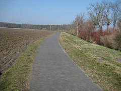 Radweg zwischen Scharfenbrück und Schöeweide