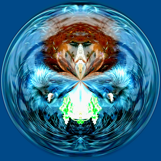 Blue circle