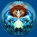 Blue circle