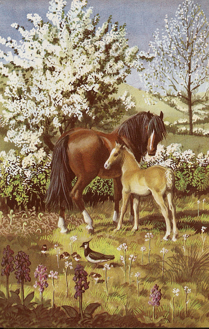 Mare & foal.